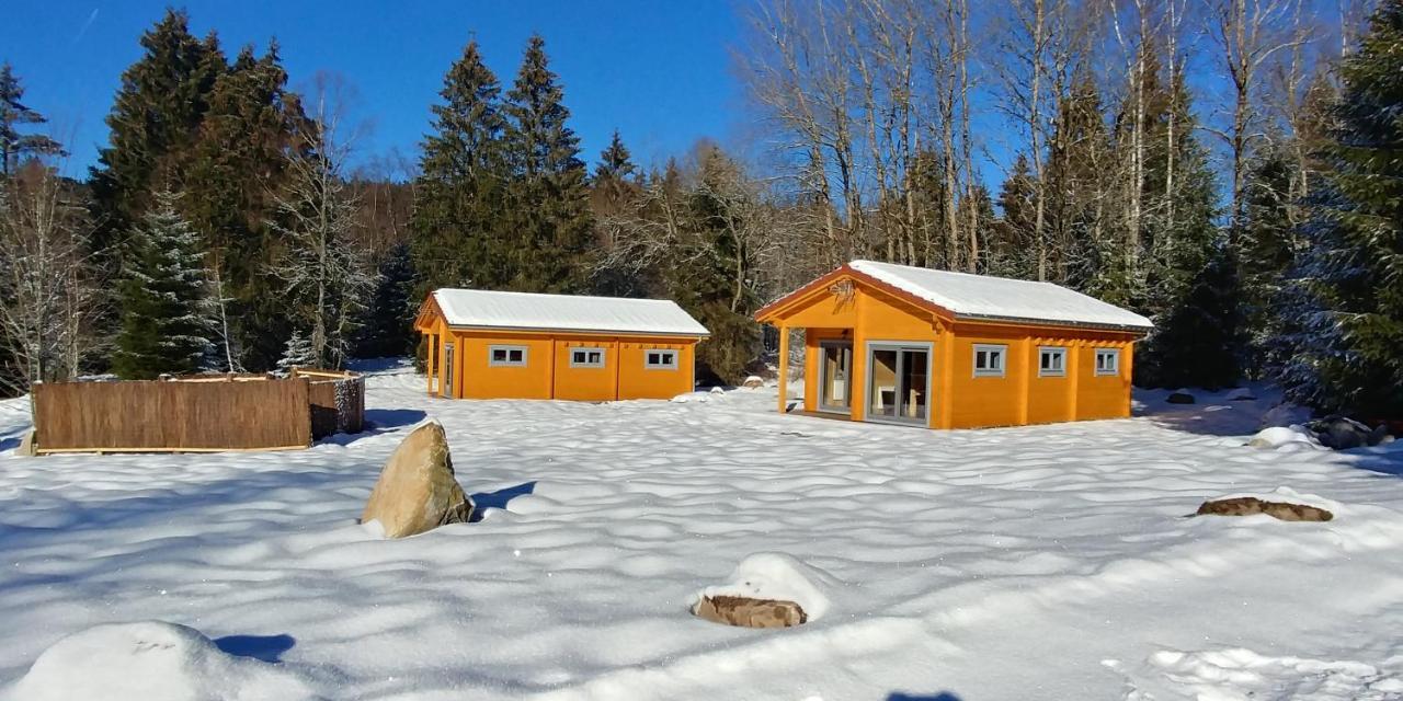 Chalet De Martimprey - Chalets - Gites - Chambres D' Hotes Et Spas Gérardmer Kültér fotó