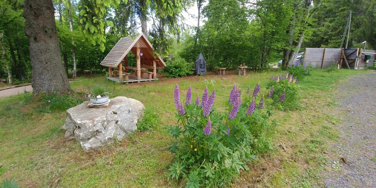 Chalet De Martimprey - Chalets - Gites - Chambres D' Hotes Et Spas Gérardmer Kültér fotó