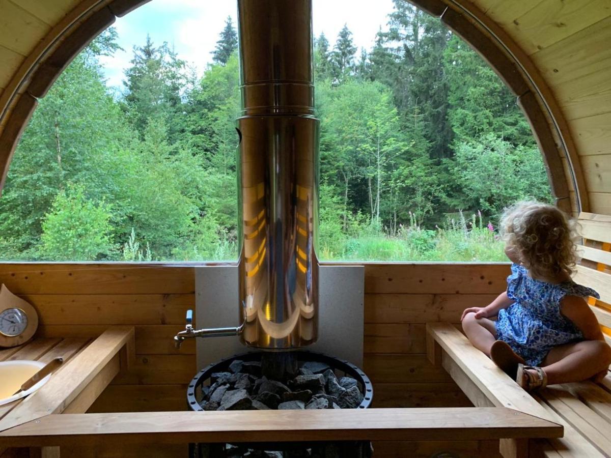 Chalet De Martimprey - Chalets - Gites - Chambres D' Hotes Et Spas Gérardmer Kültér fotó